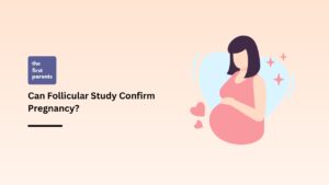 Can Follicular Study Confirm Pregnancy?